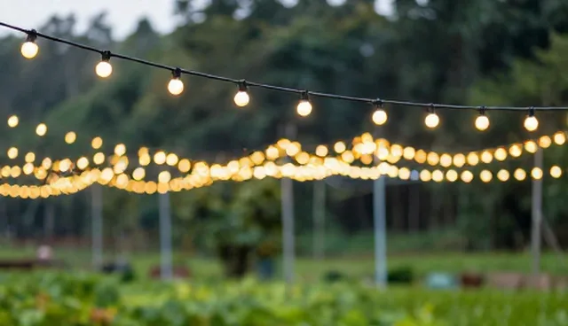 内容策划中的选型关注点与实际运营策略